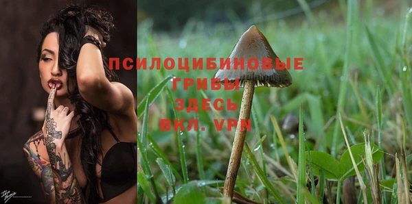spice Абаза