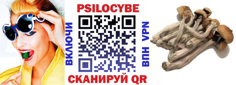 Галлюциногенные грибы GOLDEN TEACHER  Белореченск 