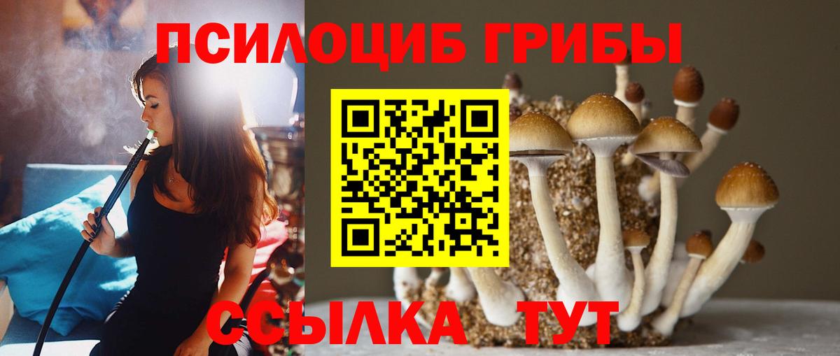 Псилоцибиновые грибы ЛСД Белореченск