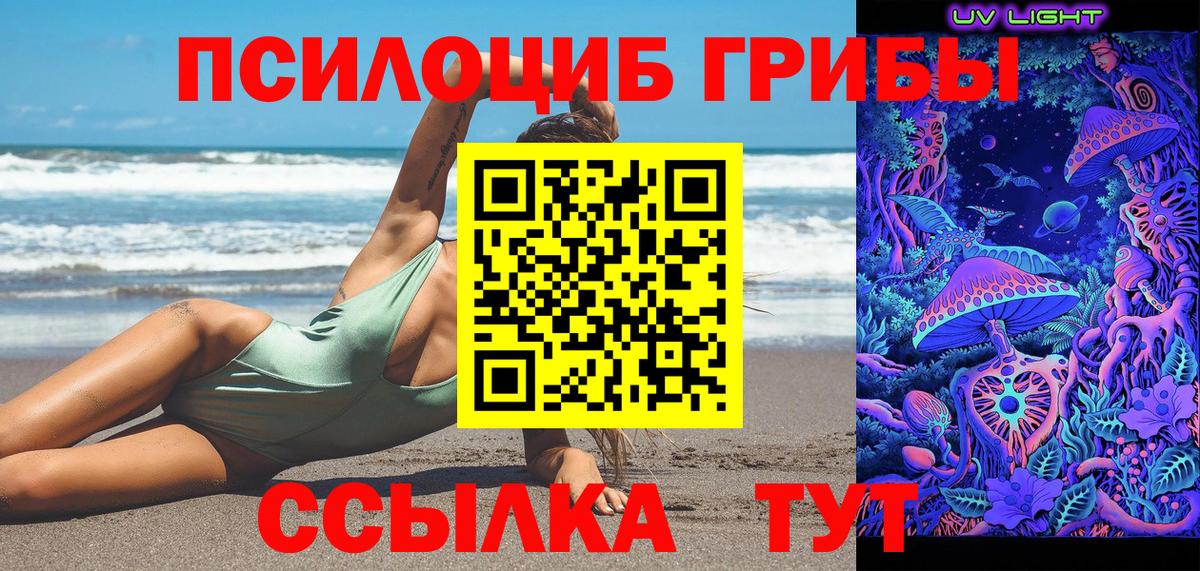 Галлюциногенные грибы Magic Shrooms  Вход с VPN  Белореченск  Галлюциногенные грибы Psilocybine cubensis 